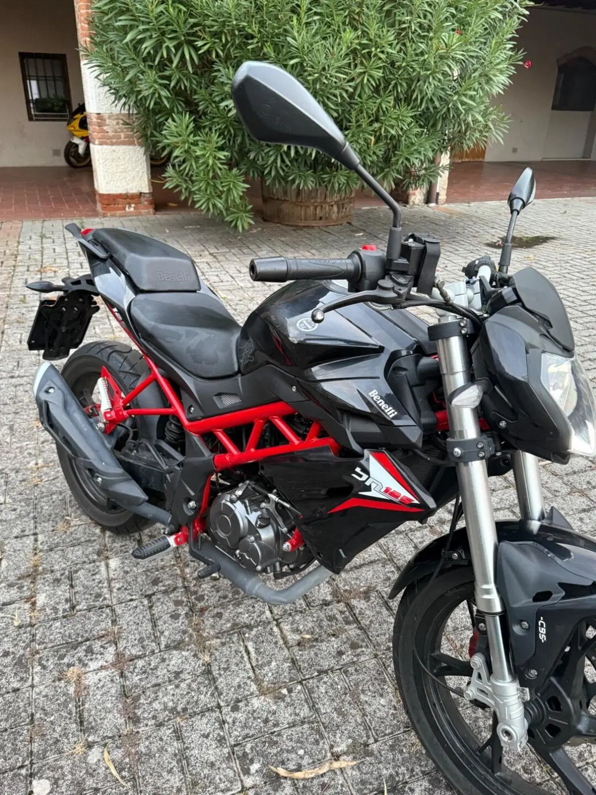 Benelli BN 125 (2018 - 20)