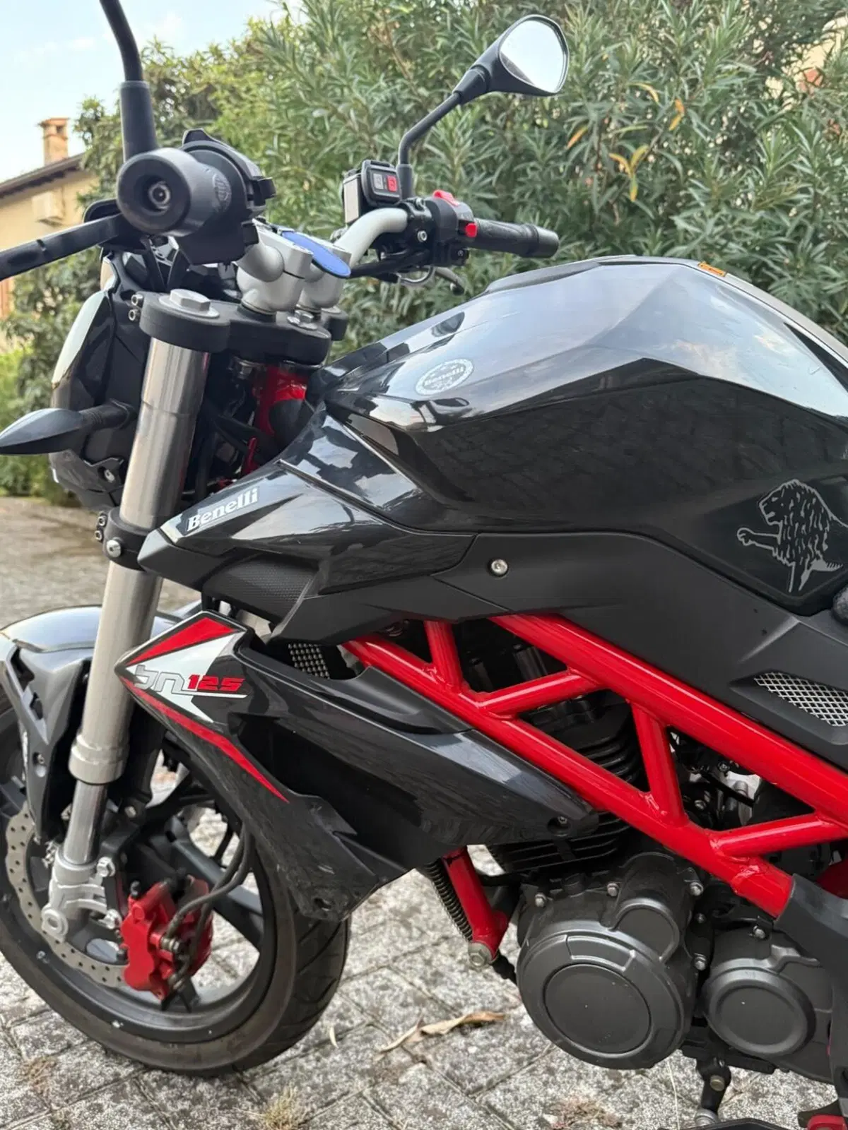 Benelli BN 125 (2018 - 20) (2)