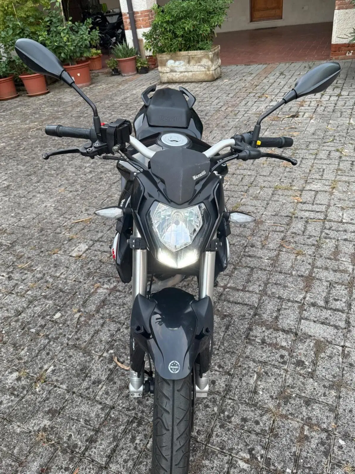 Benelli BN 125 (2018 - 20) (3)
