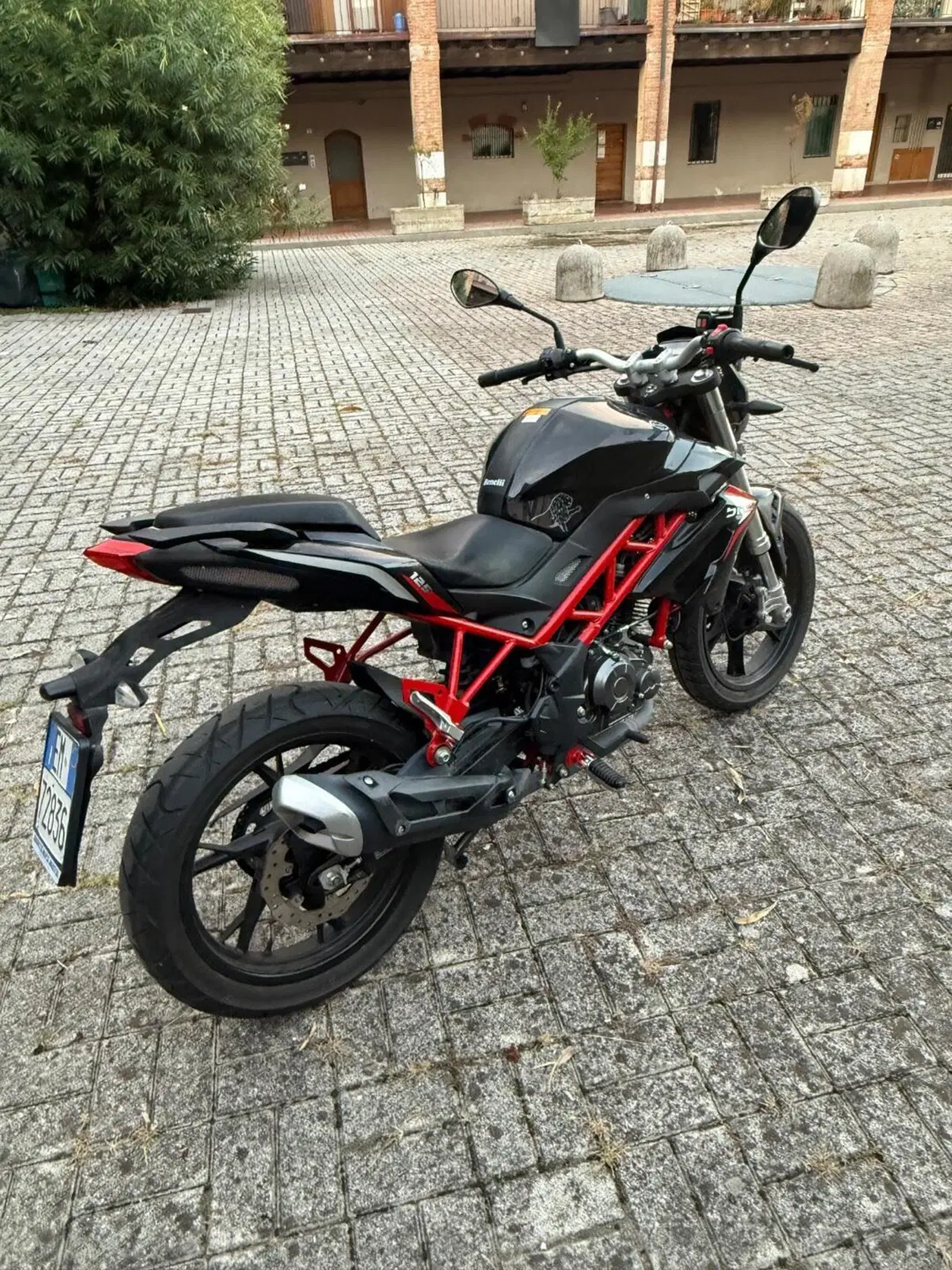 Benelli BN 125 (2018 - 20) (6)