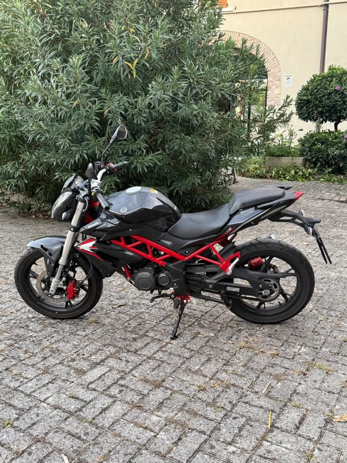 Benelli BN 125 (2018 - 20) (7)