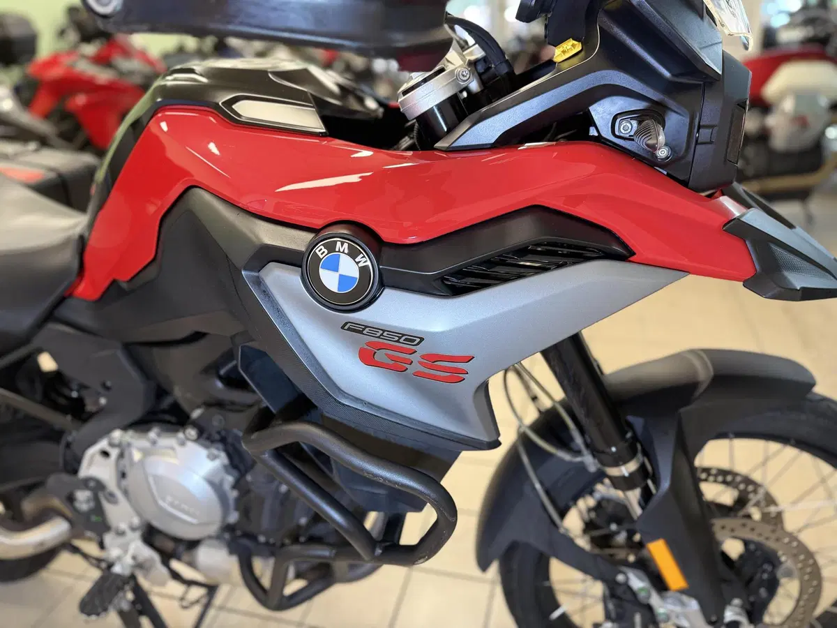 Bmw F 850 GS (2018 - 20) (7)