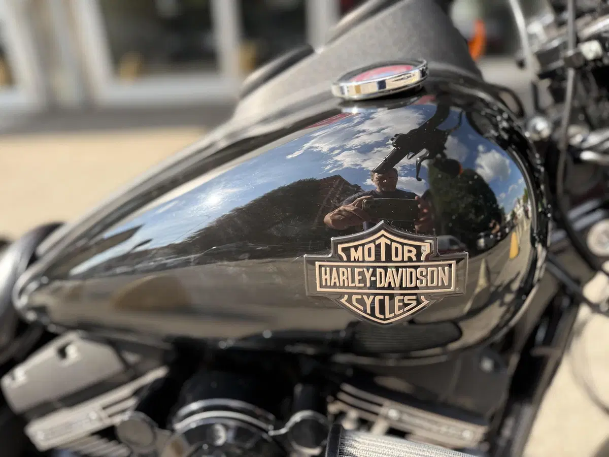 Harley-Davidson 1800 Low Rider S (2016 - 17) - FXDLS (12)