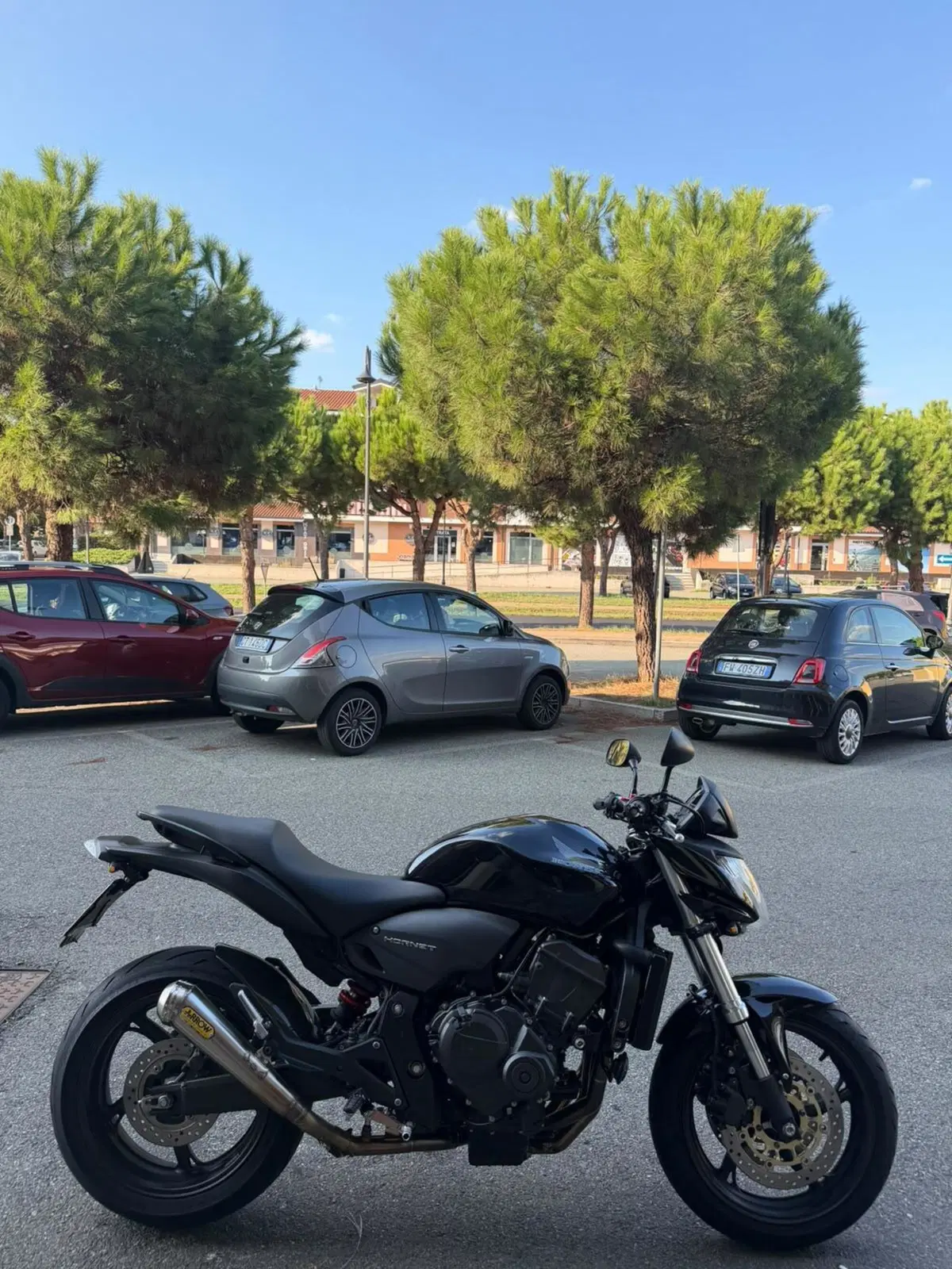 Honda Hornet 600 (2011 - 13) (2)