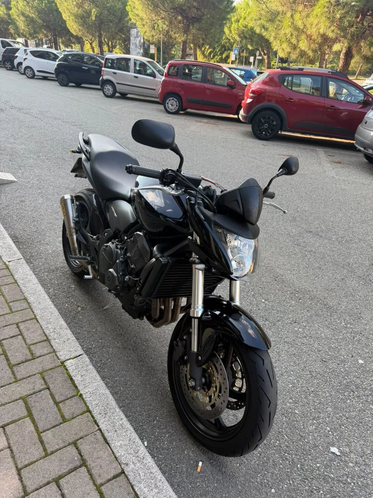 Honda Hornet 600 (2011 - 13) (8)