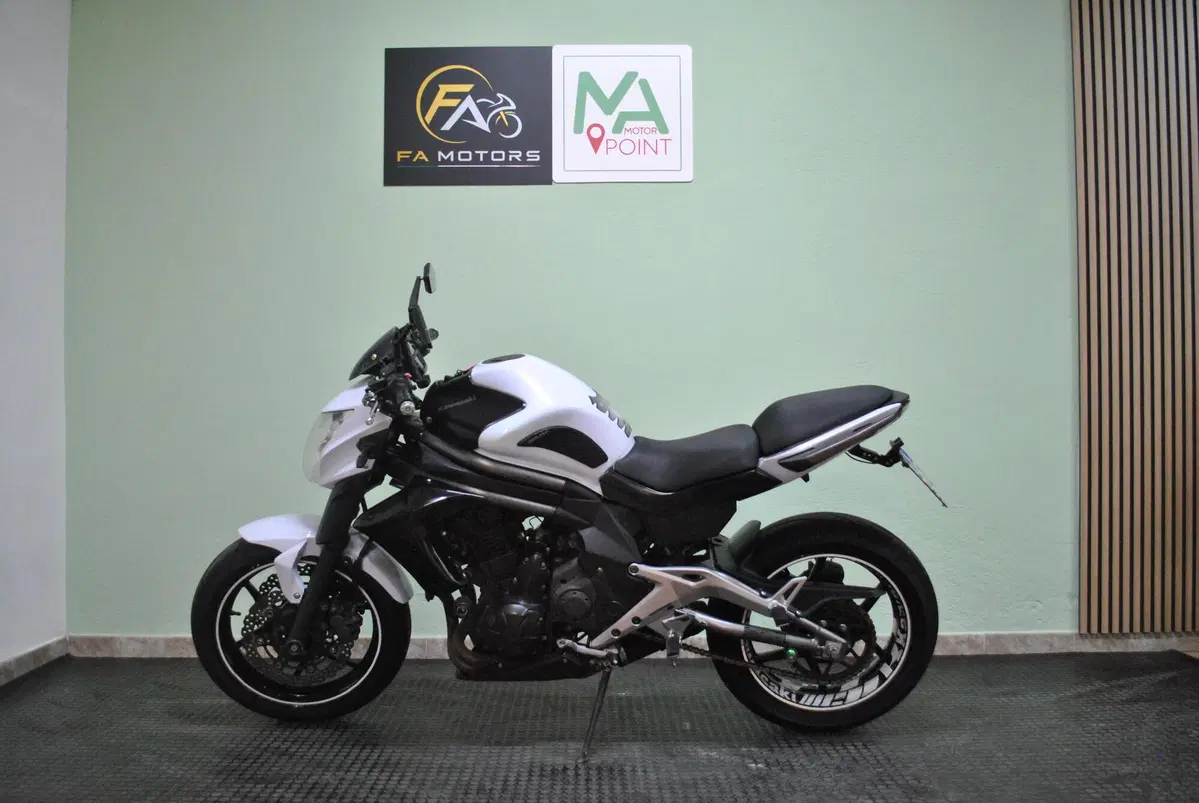 Kawasaki ER-6N (2012 - 13) (4)
