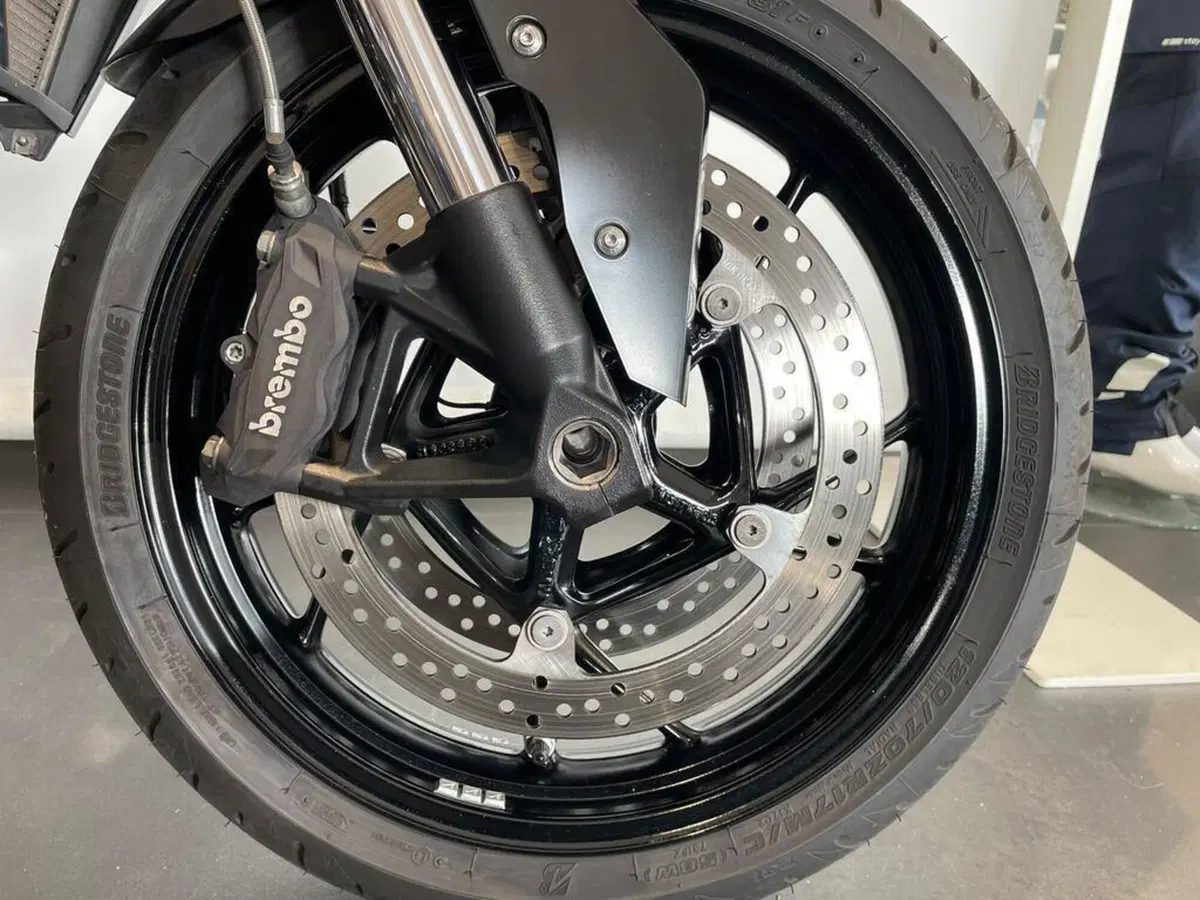 Bmw F 900 R (2017 - 20) (11)