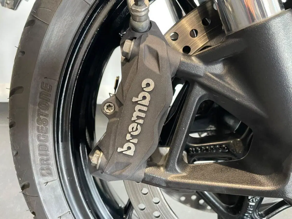 Bmw F 900 R (2017 - 20) (12)
