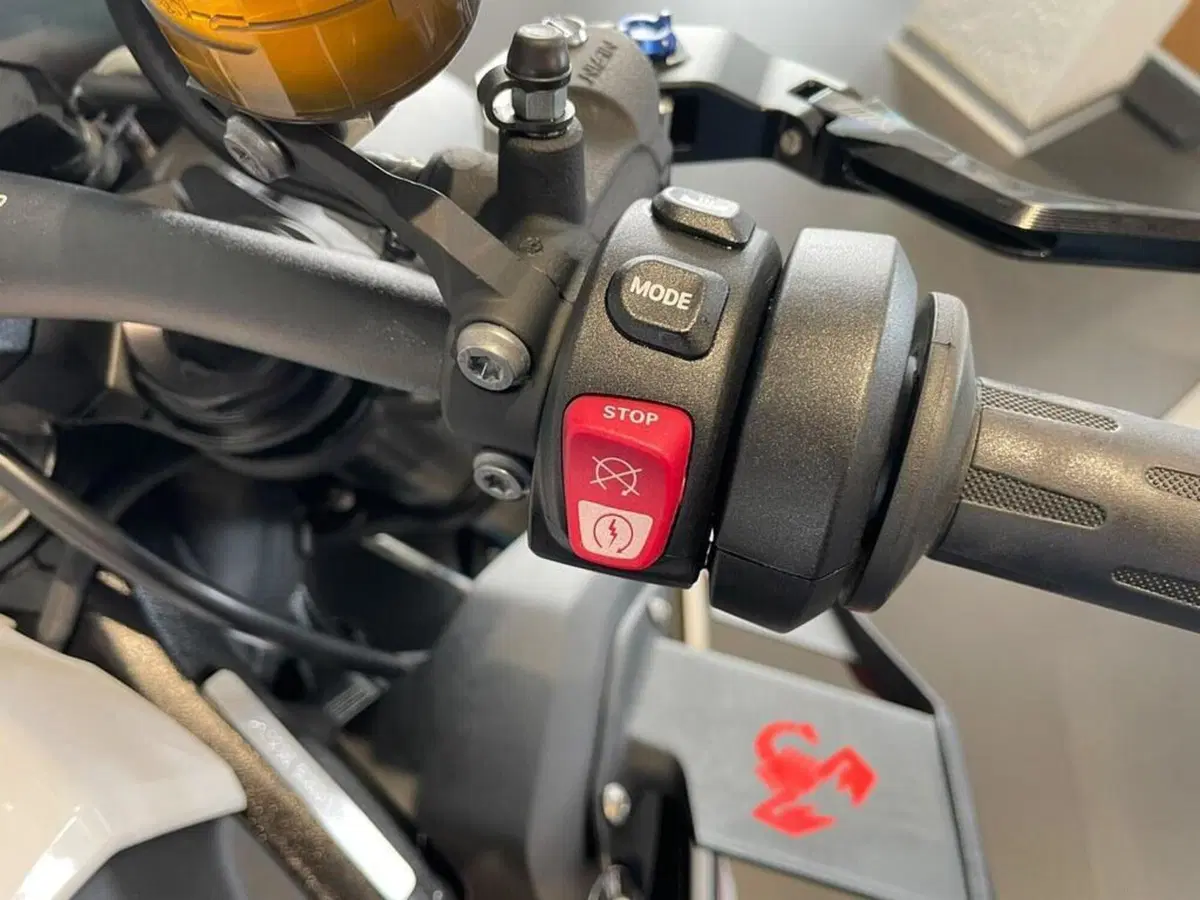 Bmw M 1000 R (2025 - 27) (6)