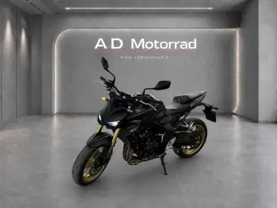 Honda CB 1000 Hornet SP (2025 - 26) usata