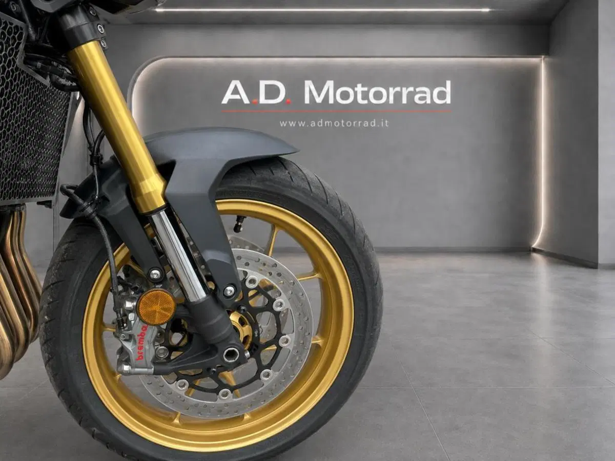 Honda CB 1000 Hornet SP (2025 - 26) (9)