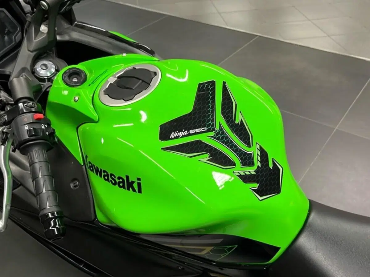 Kawasaki Ninja 650 (2020) (12)