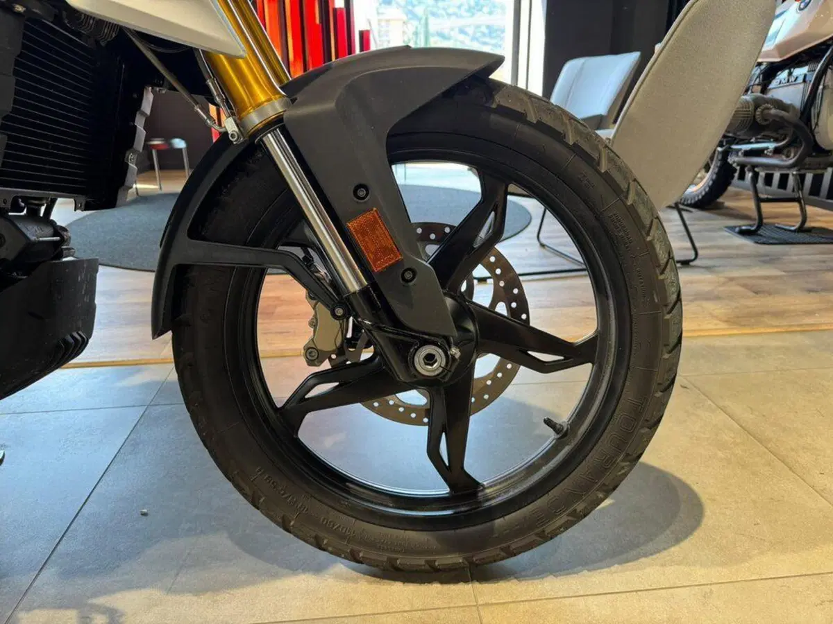Bmw G 310 GS (2021 - 25) (10)
