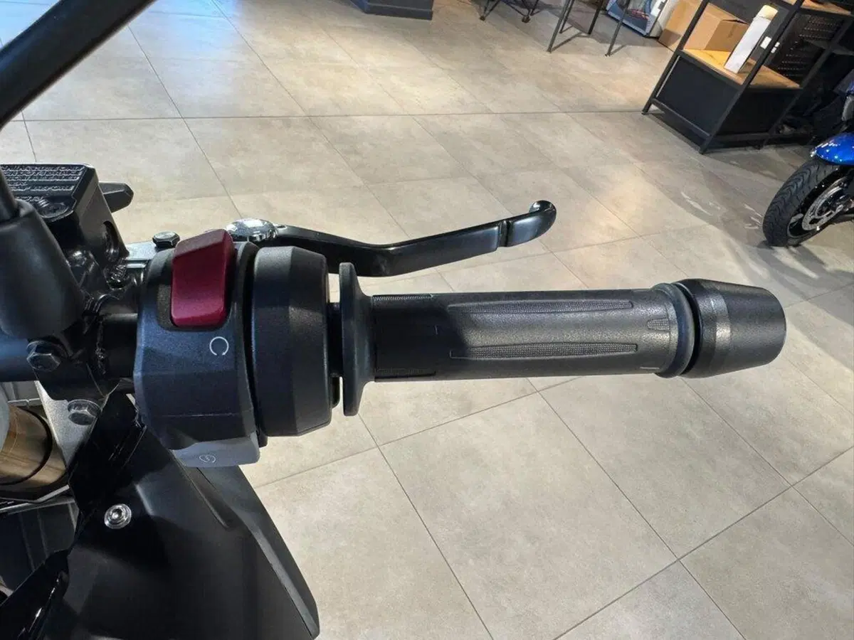Bmw G 310 GS (2021 - 25) (13)