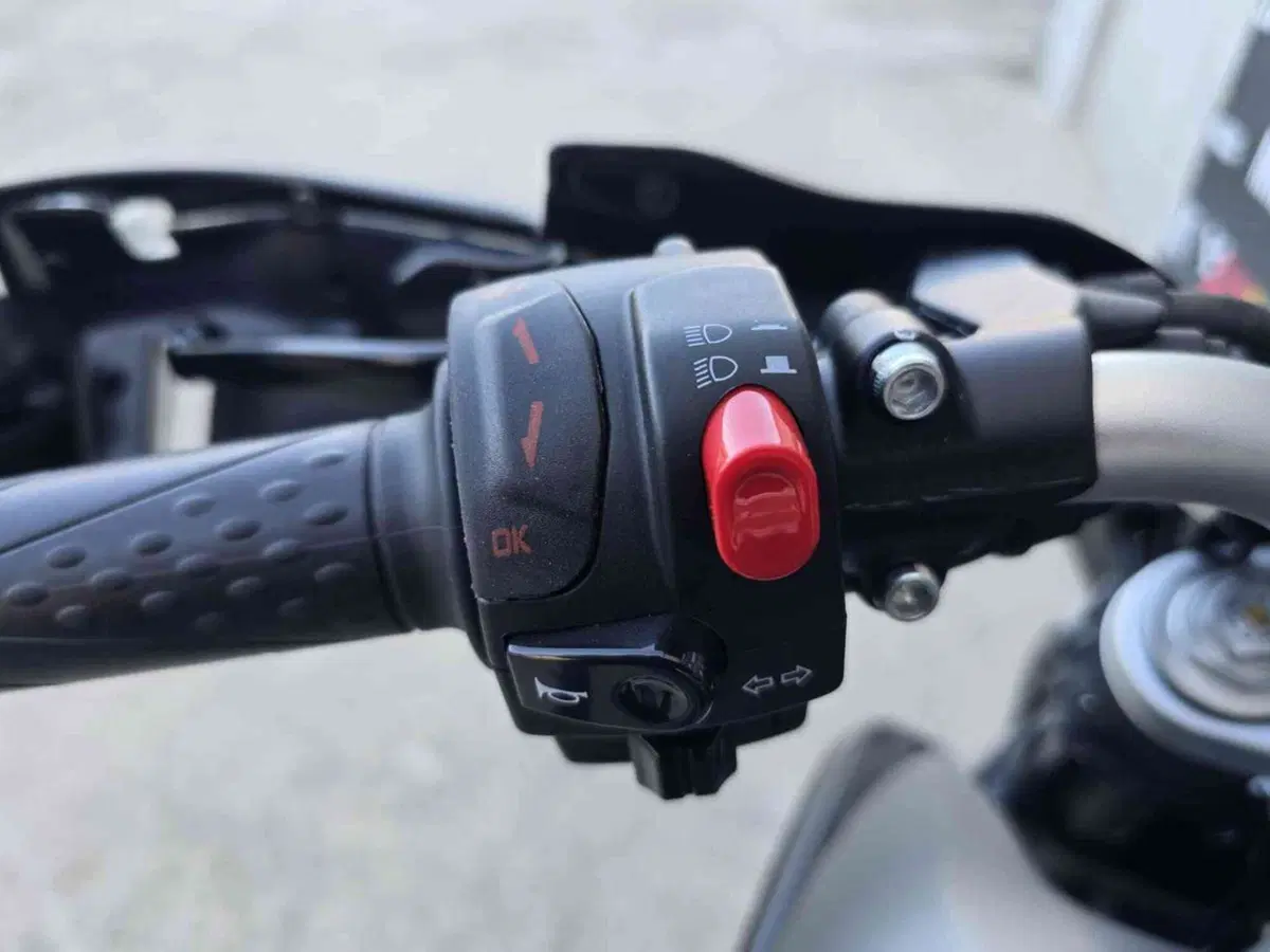 MV Agusta Rivale 800 EAS ABS (2013 - 17) (19)