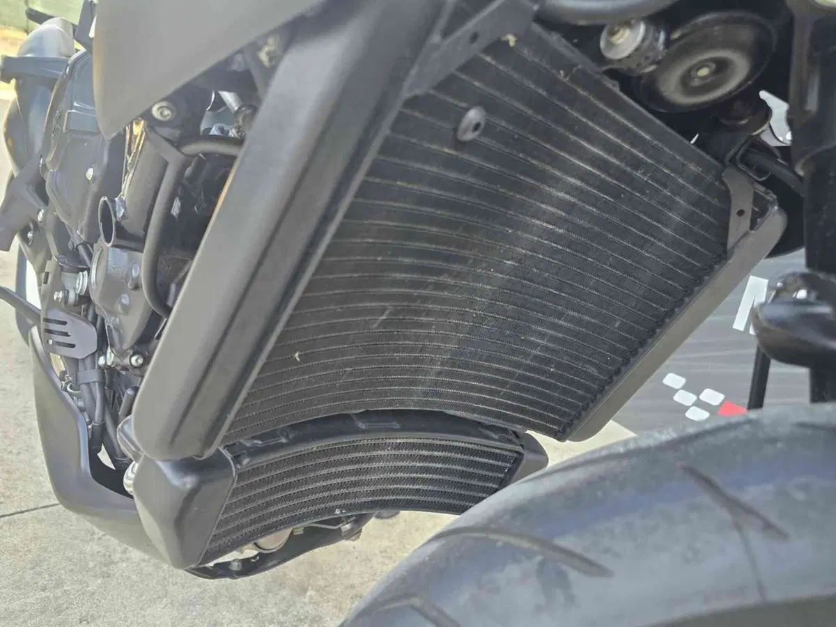 MV Agusta Dragster 800 RR (2018 - 20) (19)