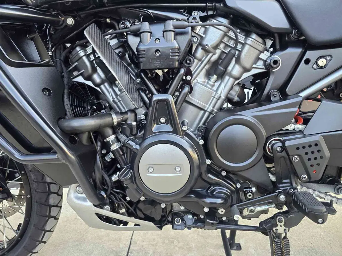Harley-Davidson Pan America 1250 Special (2020 - 25) (7)