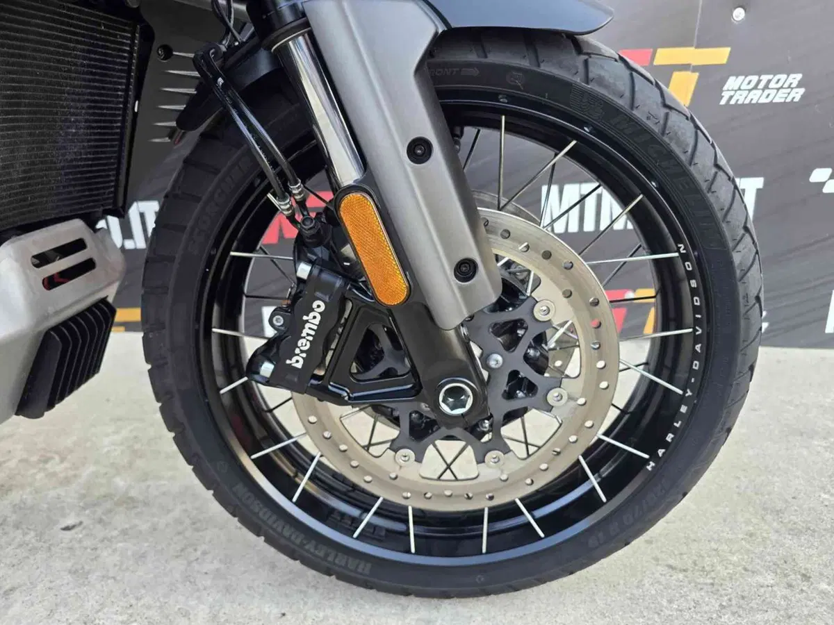 Harley-Davidson Pan America 1250 Special (2020 - 25) (14)