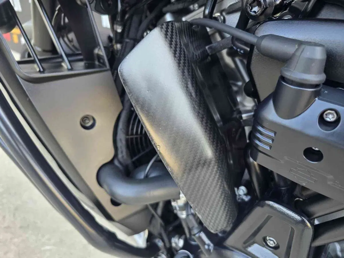 Harley-Davidson Pan America 1250 Special (2020 - 25) (20)