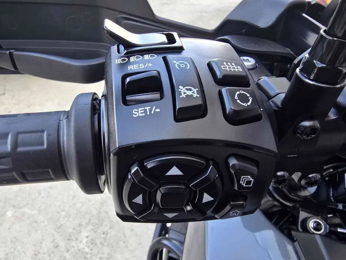Harley-Davidson Pan America 1250 Special (2020 - 25) (9)