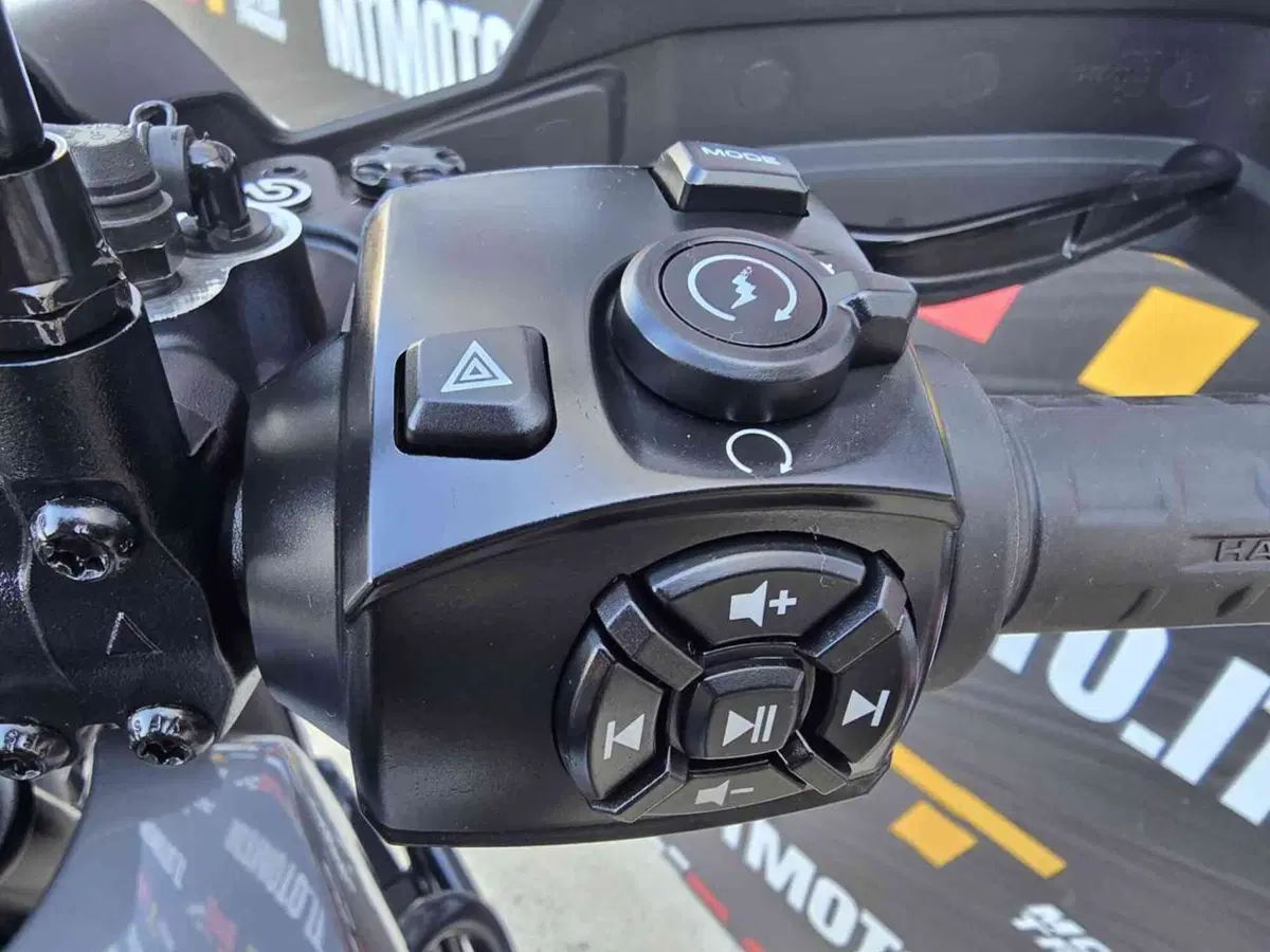 Harley-Davidson Pan America 1250 Special (2020 - 25) (10)