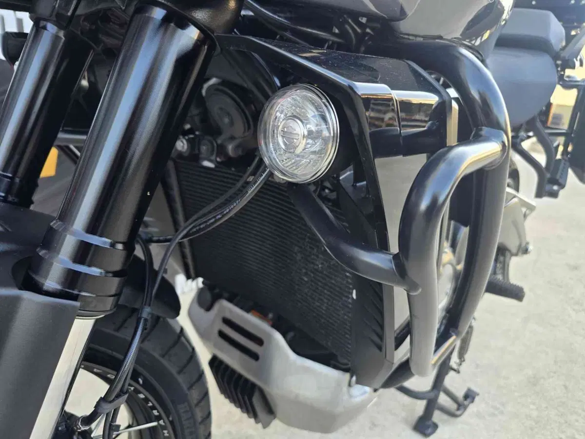 Harley-Davidson Pan America 1250 Special (2020 - 25) (24)