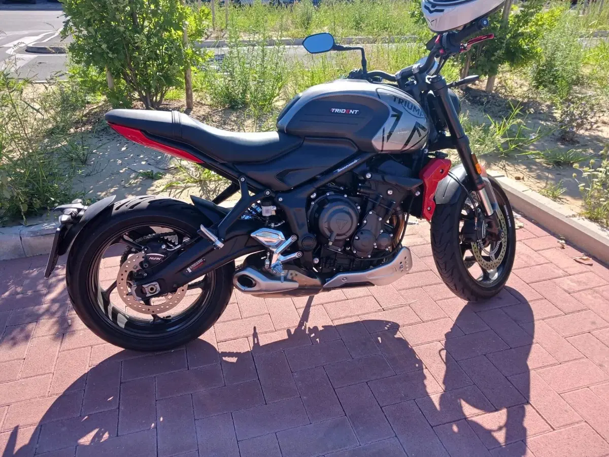 Triumph Trident 660 (2021 - 24)