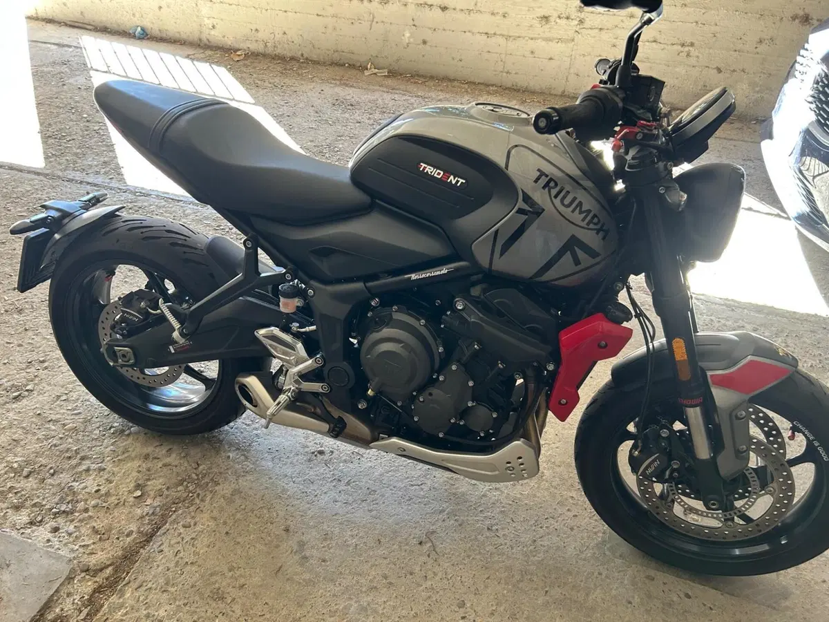 Triumph Trident 660 (2021 - 24) (5)