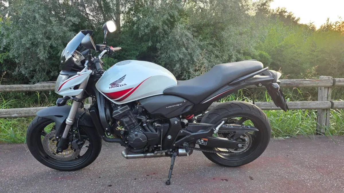 Honda Hornet 600 (2007 - 10)
