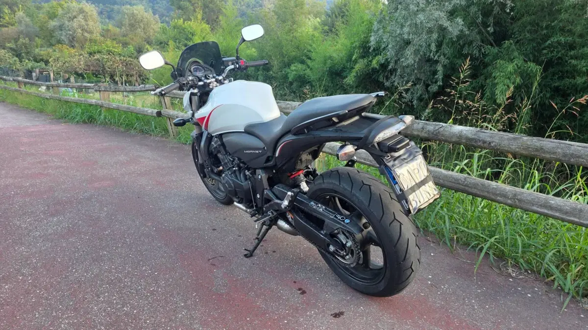 Honda Hornet 600 (2007 - 10) (2)