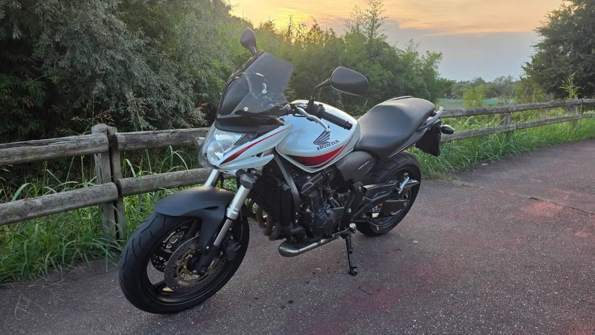 Honda Hornet 600 (2007 - 10) (3)