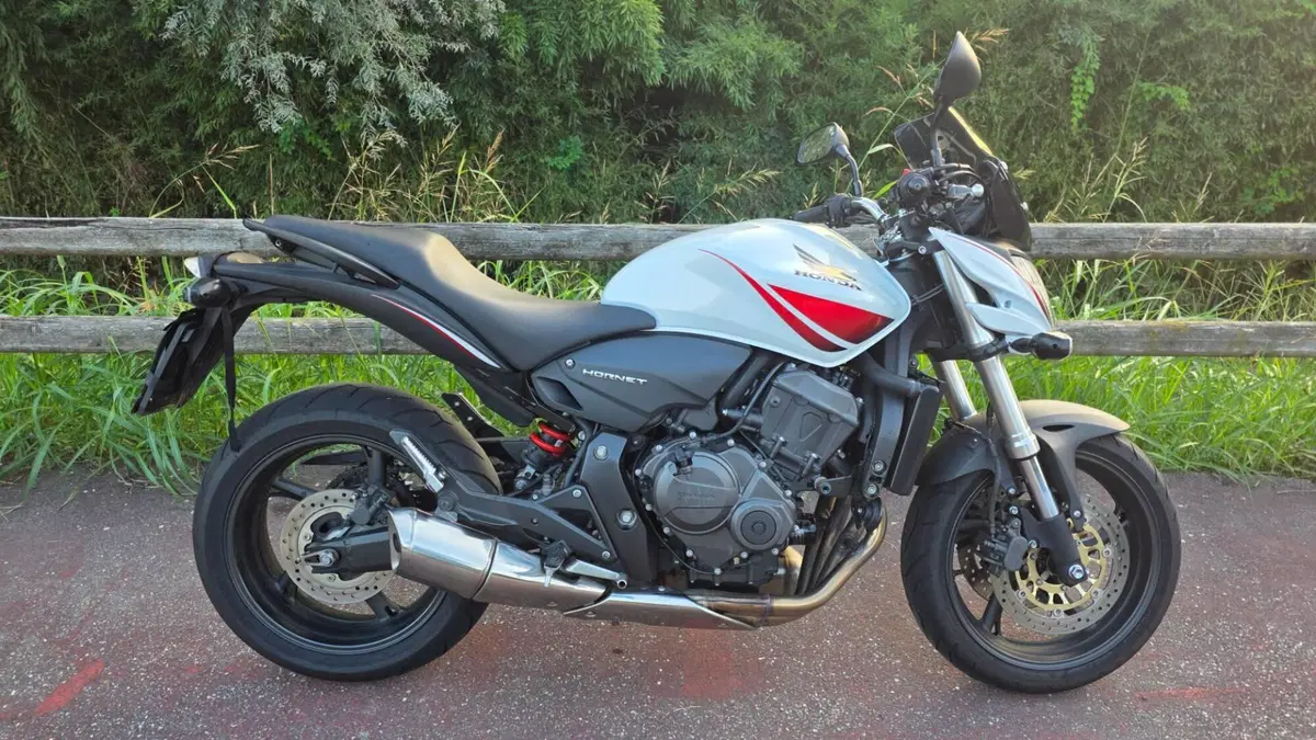 Honda Hornet 600 (2007 - 10) (4)