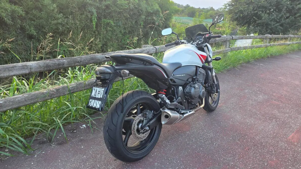 Honda Hornet 600 (2007 - 10) (5)