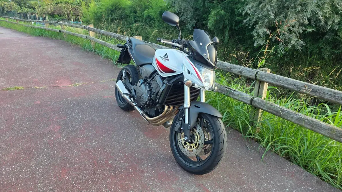 Honda Hornet 600 (2007 - 10) (6)