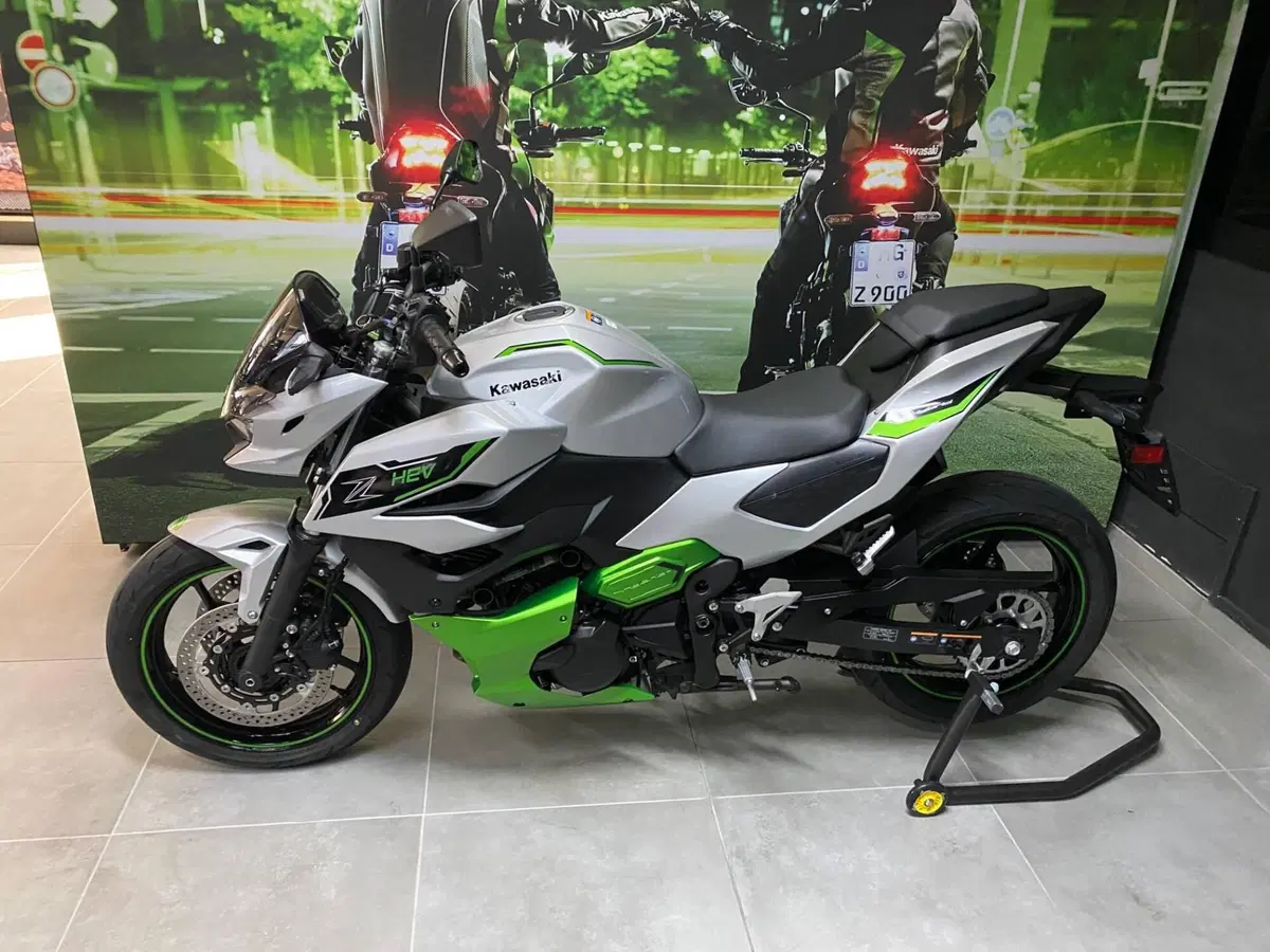 Kawasaki Z7 Hybrid (2024 - 26) (2)