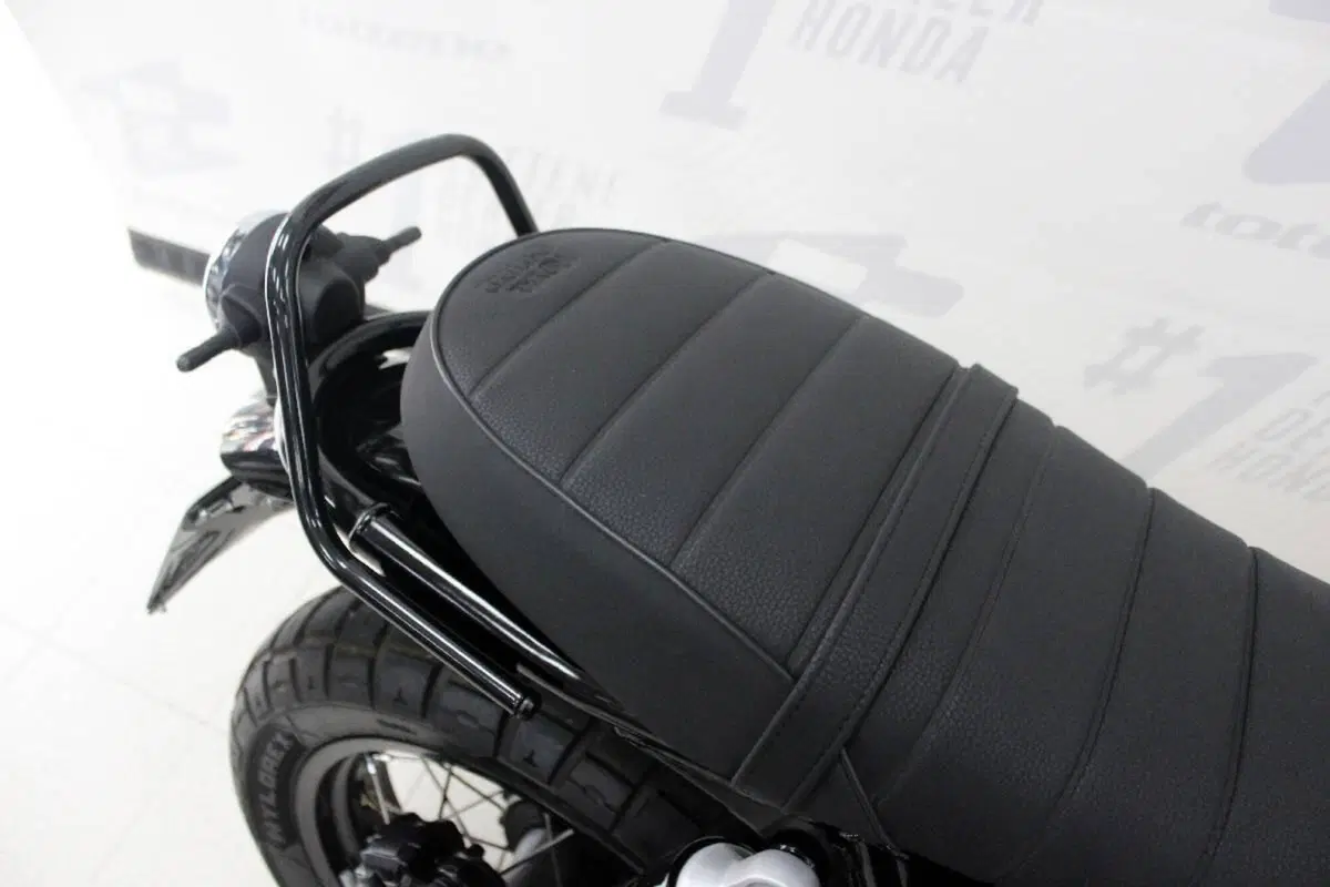 Royal Enfield Bear 650 (2025 - 26) (5)