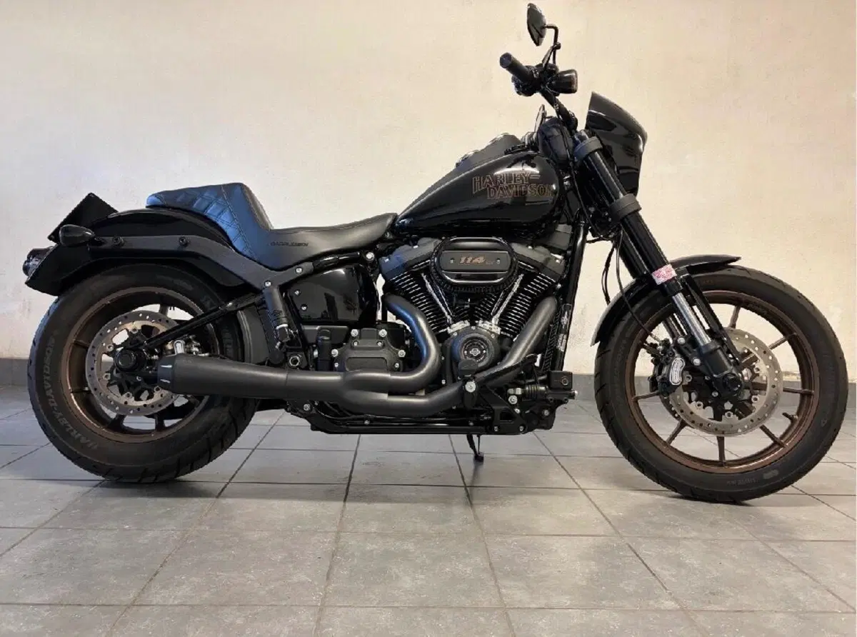 Harley-Davidson 114 Low Rider S (2020) - FXLRS (2)