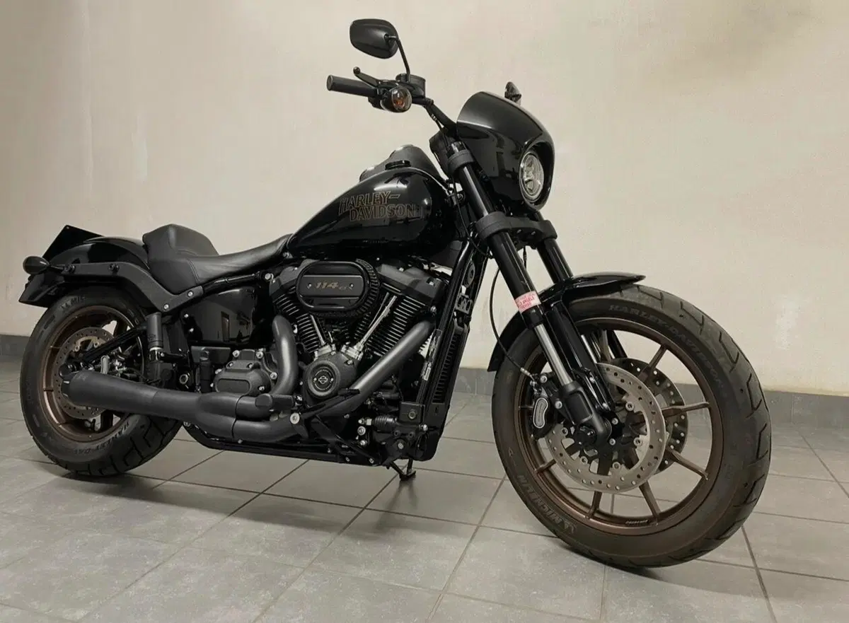 Harley-Davidson 114 Low Rider S (2020) - FXLRS (4)