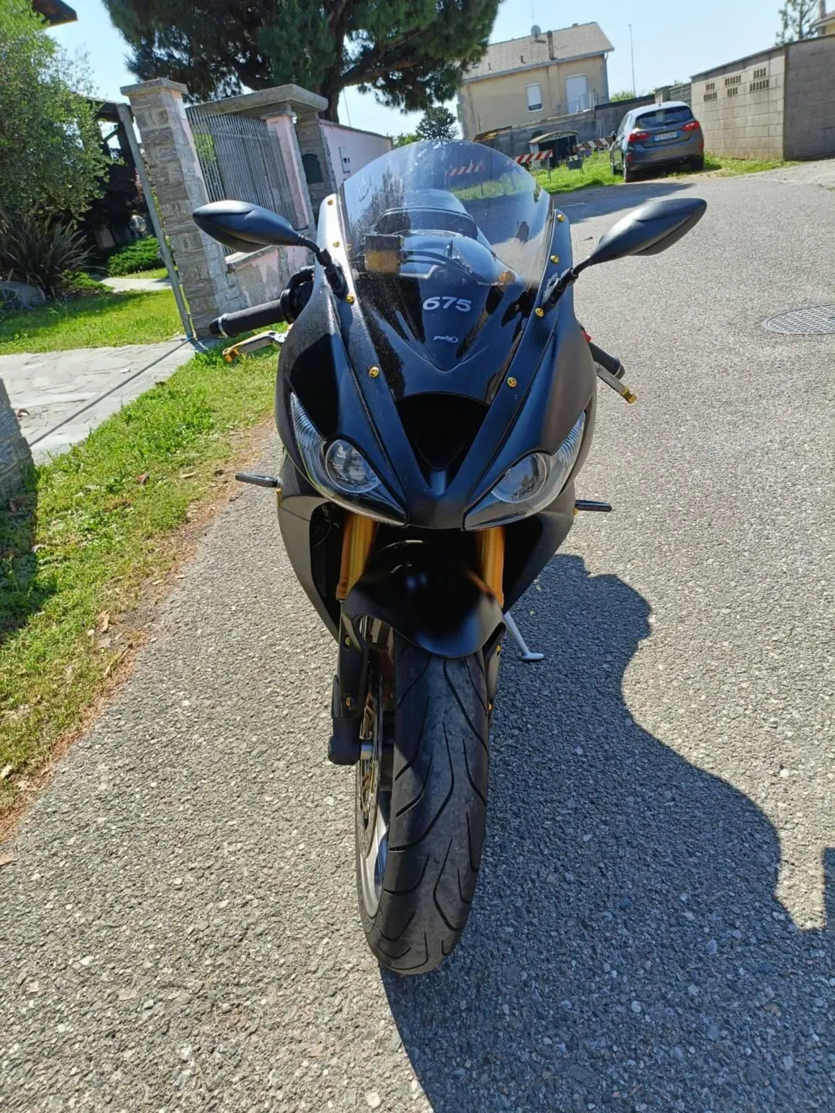 Triumph Daytona 675 ABS (2009 - 13) (2)