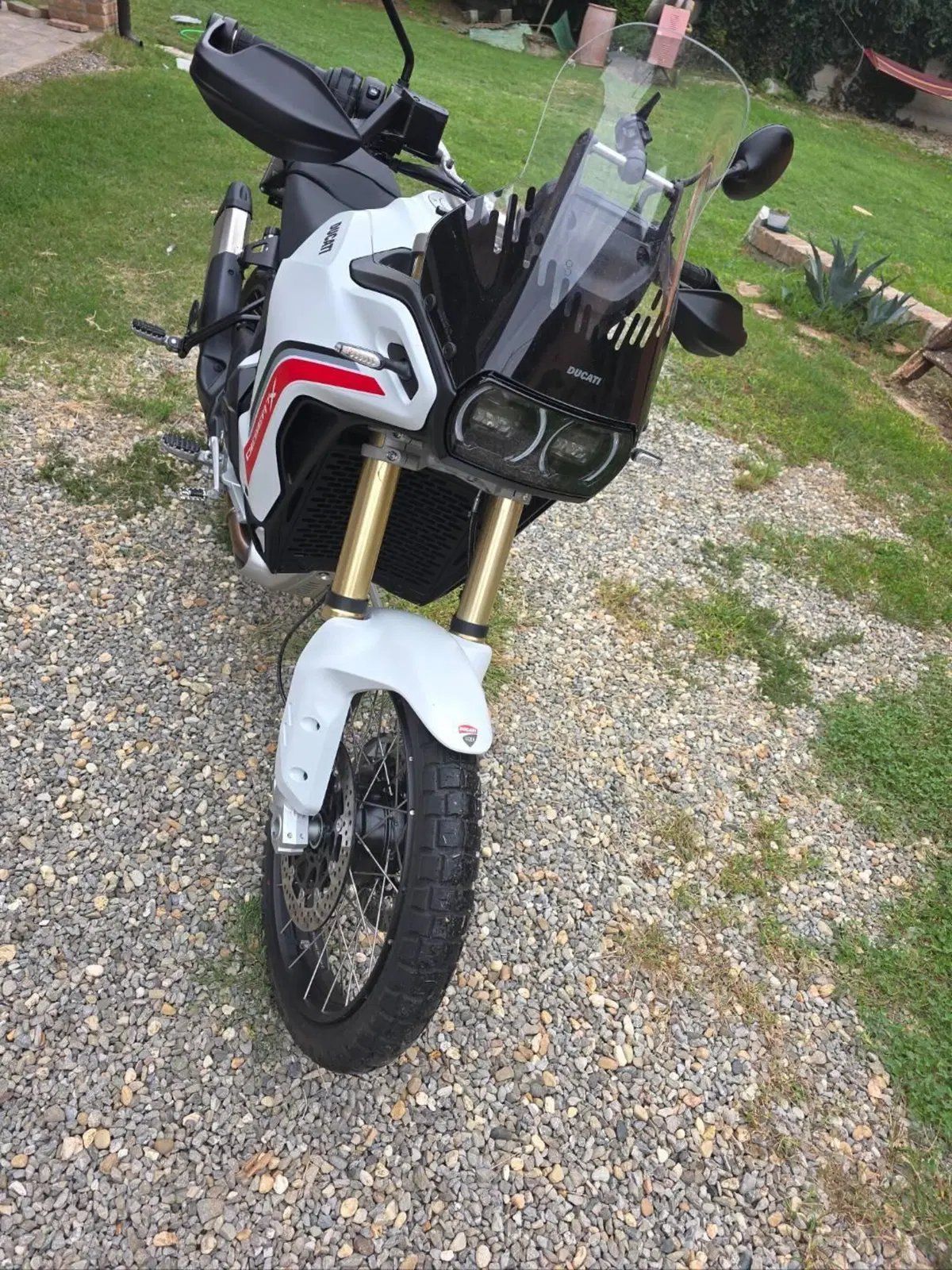 Ducati DesertX (2026) (2)