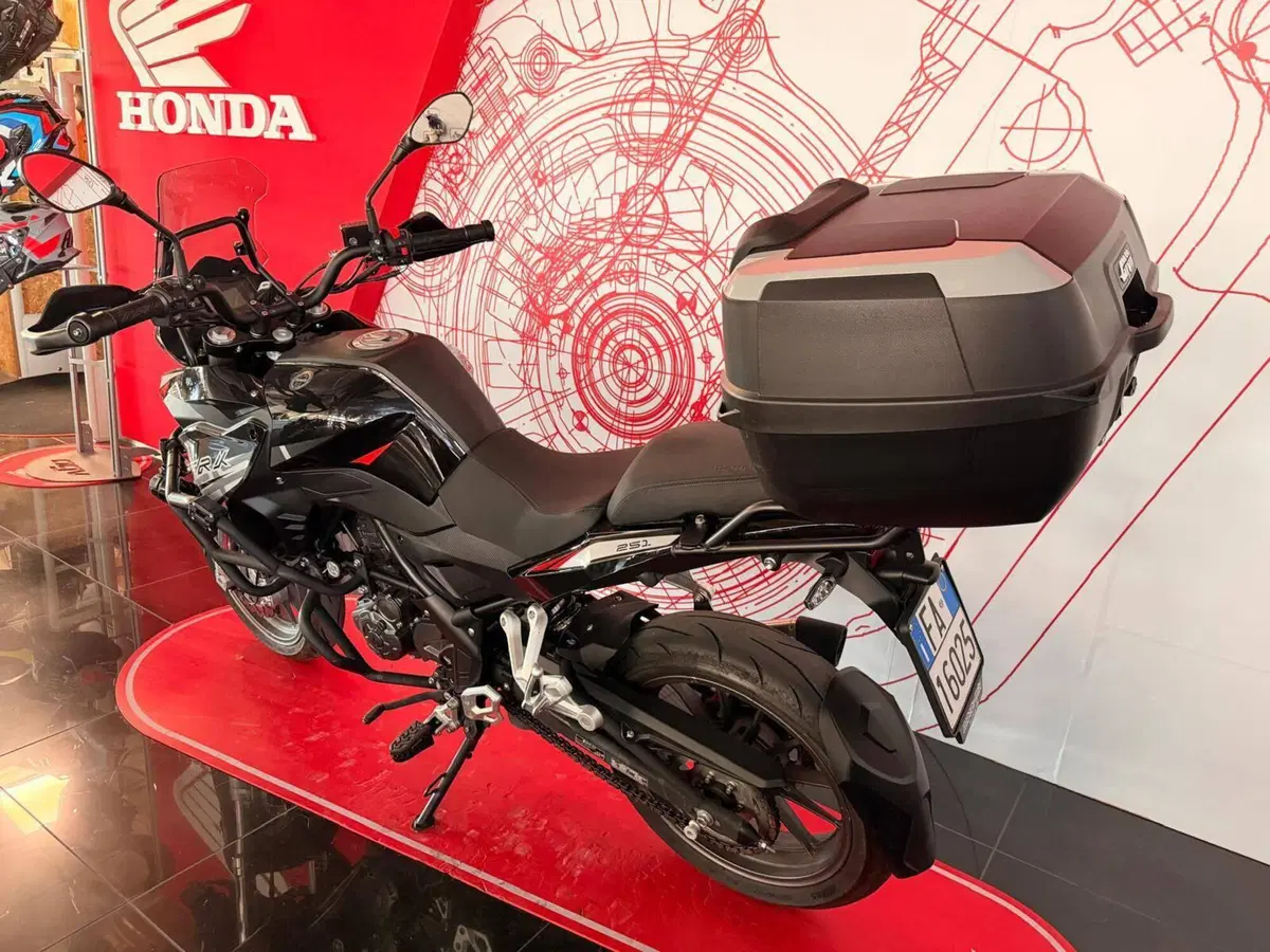 Benelli TRK 251 (2022 - 25) (7)