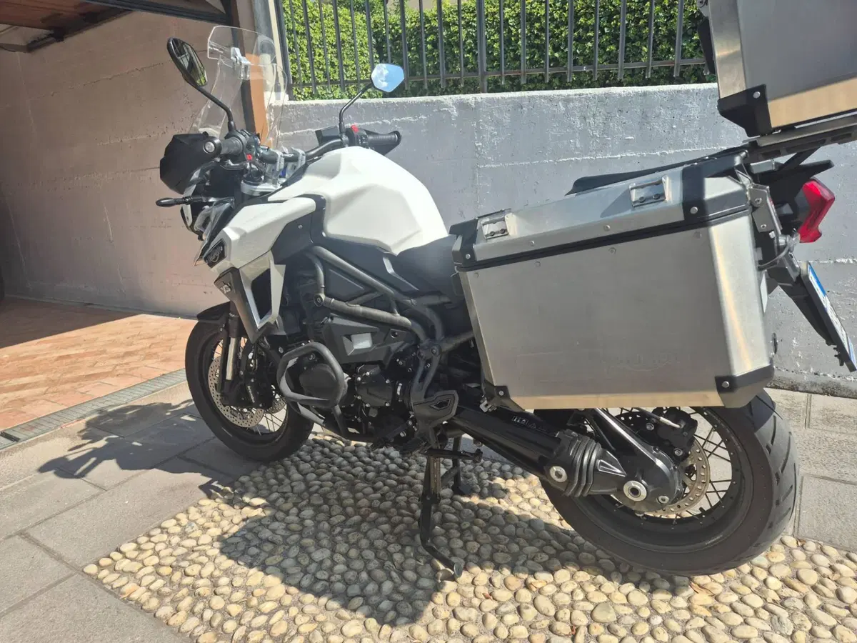 Triumph Tiger 1200 XCx (2018 - 20) (5)