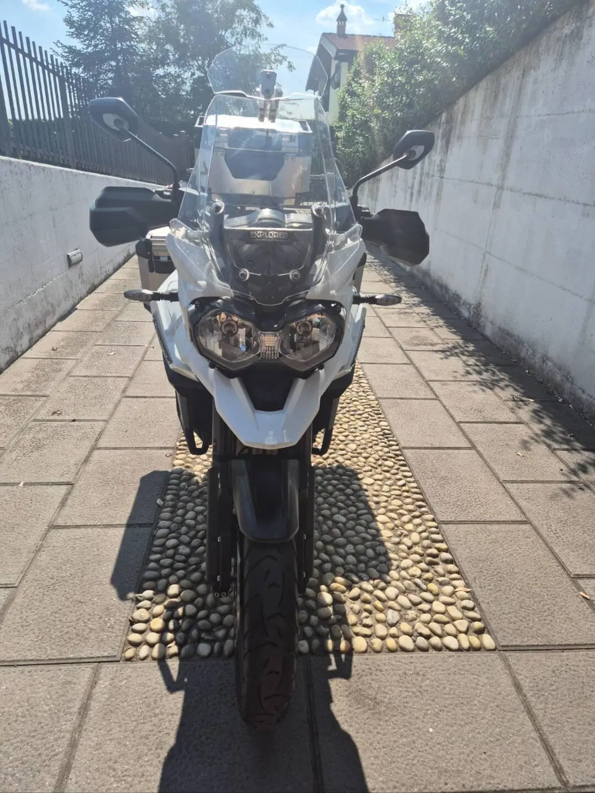 Triumph Tiger 1200 XCx (2018 - 20) (6)