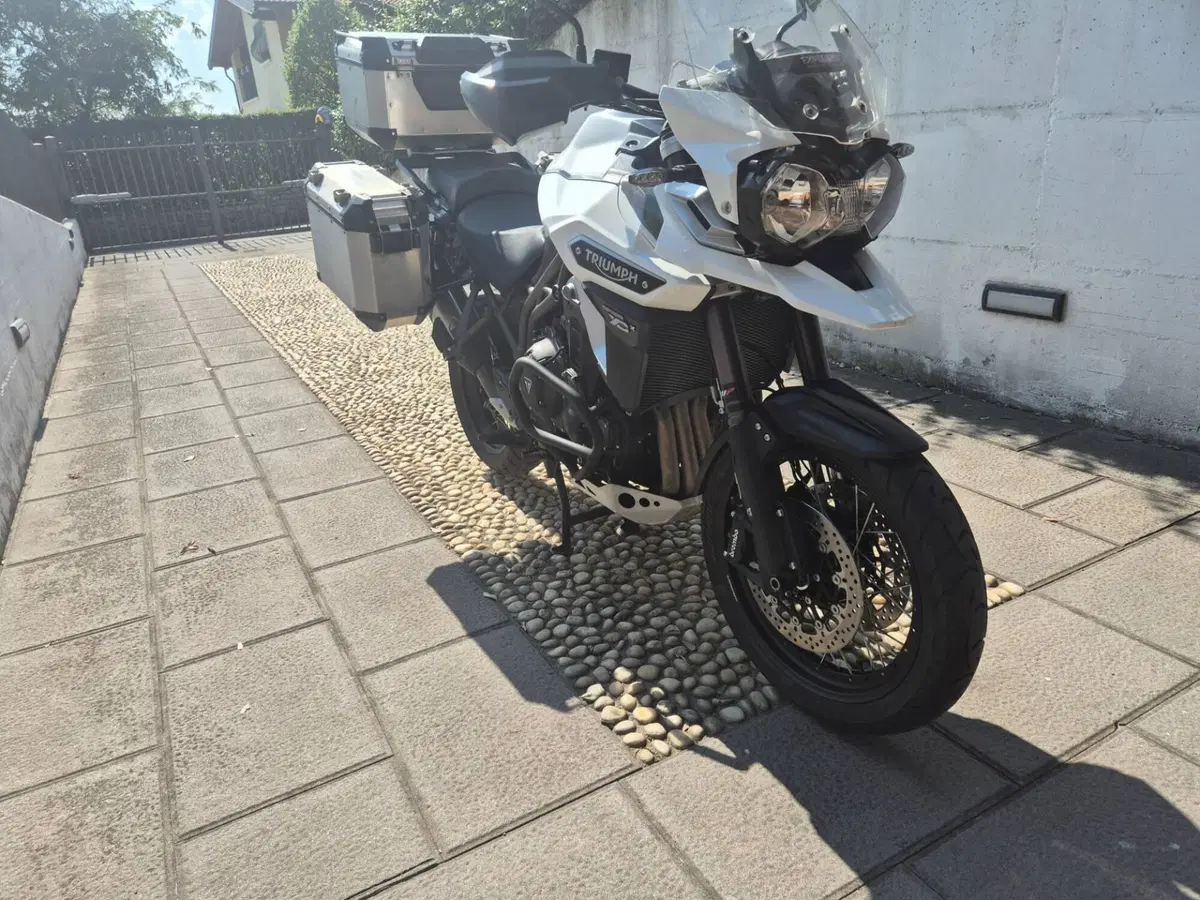 Triumph Tiger 1200 XCx (2018 - 20) (9)