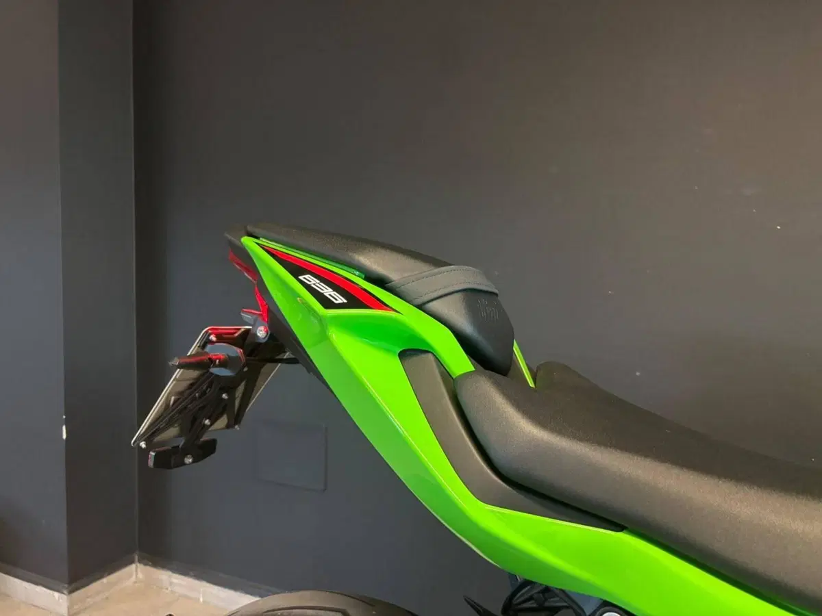 Kawasaki Ninja 636 ZX-6R (2024 - 26) (7)