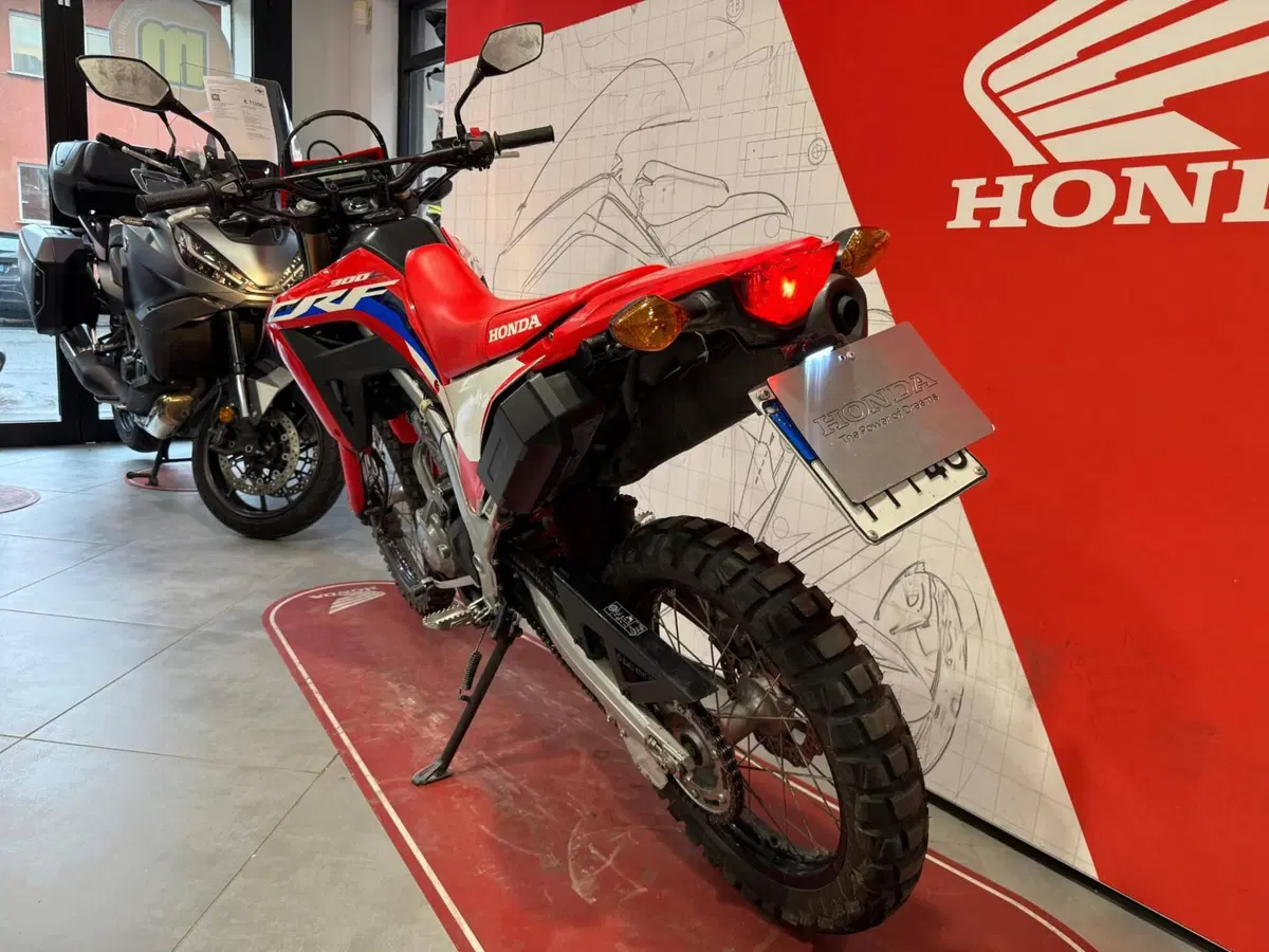 Honda CRF 300L (2021 - 24) (5)