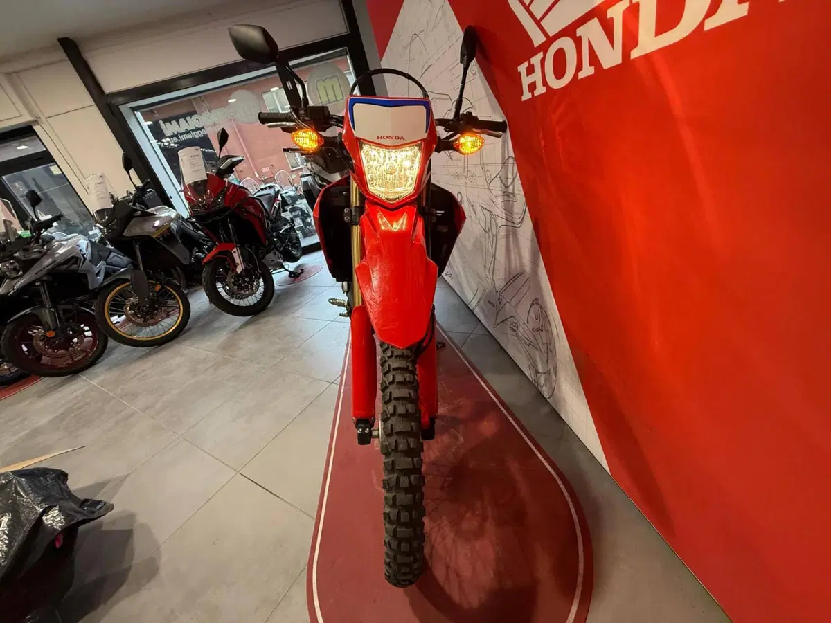 Honda CRF 300L (2021 - 24) (3)