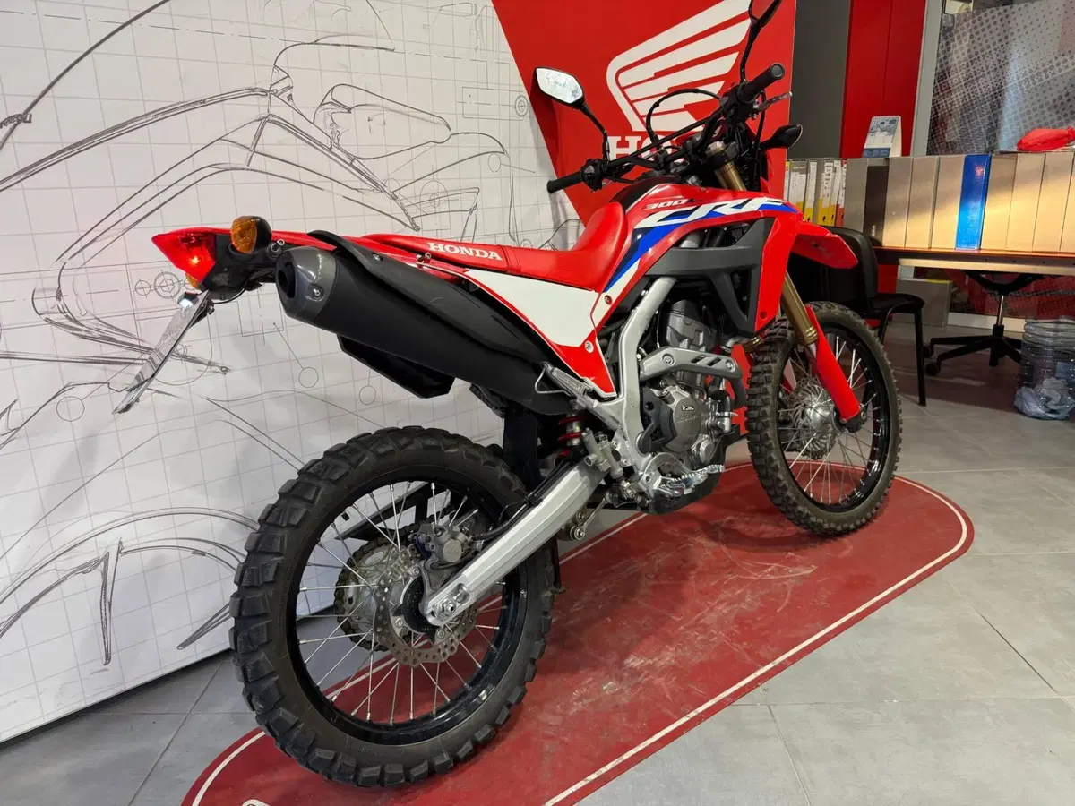 Honda CRF 300L (2021 - 24) (7)