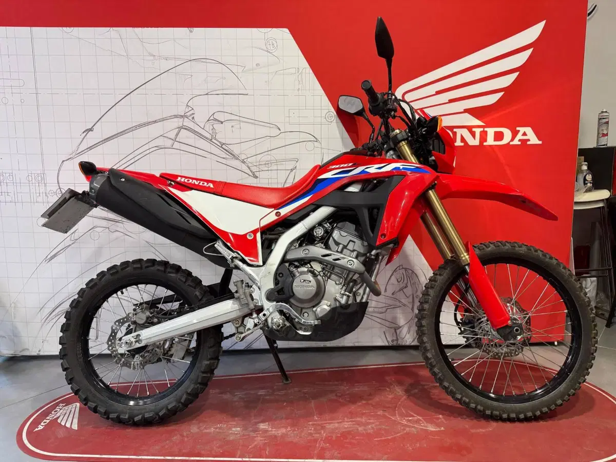 Honda CRF 300L (2021 - 24) (8)