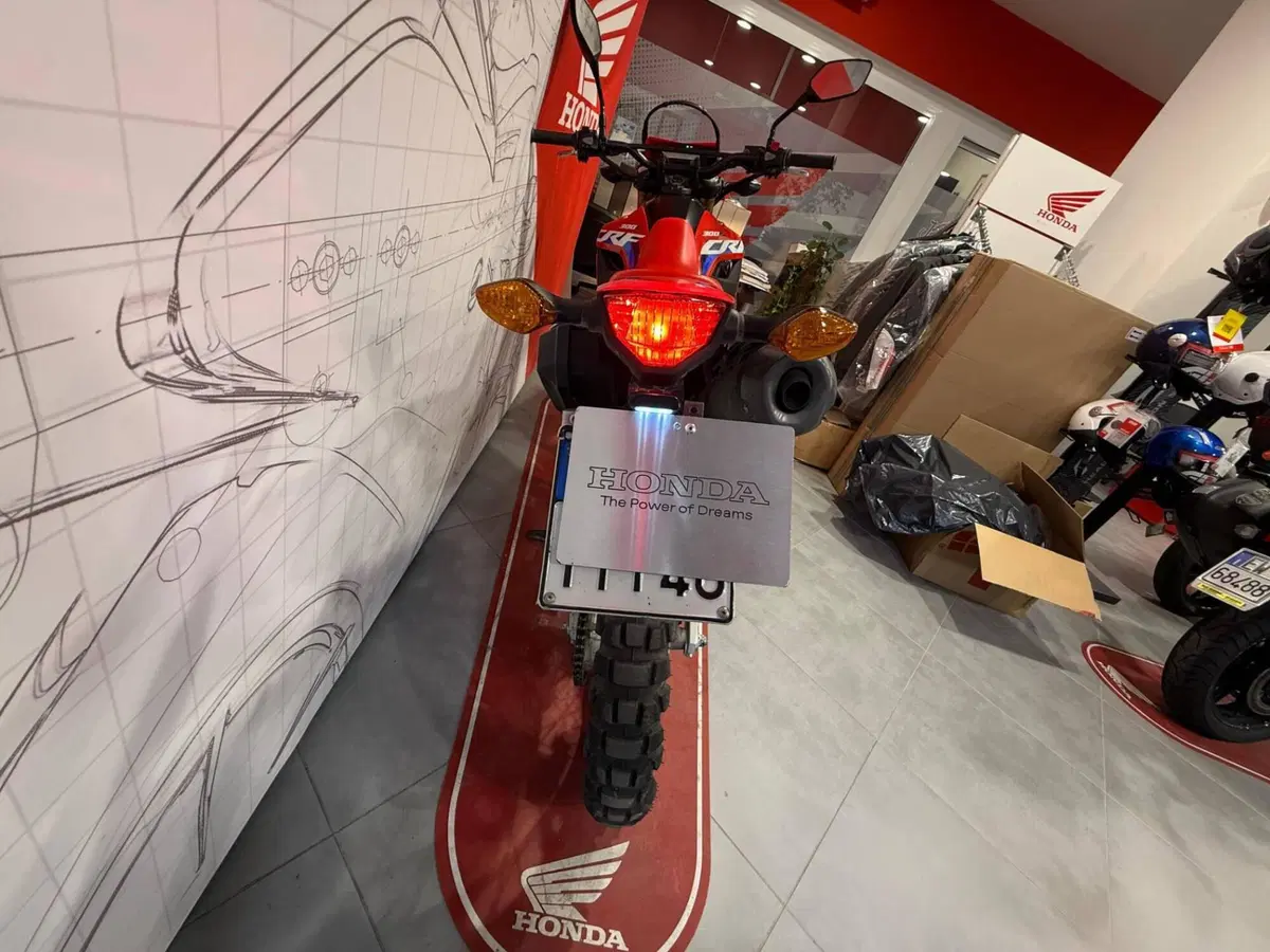 Honda CRF 300L (2021 - 24) (6)